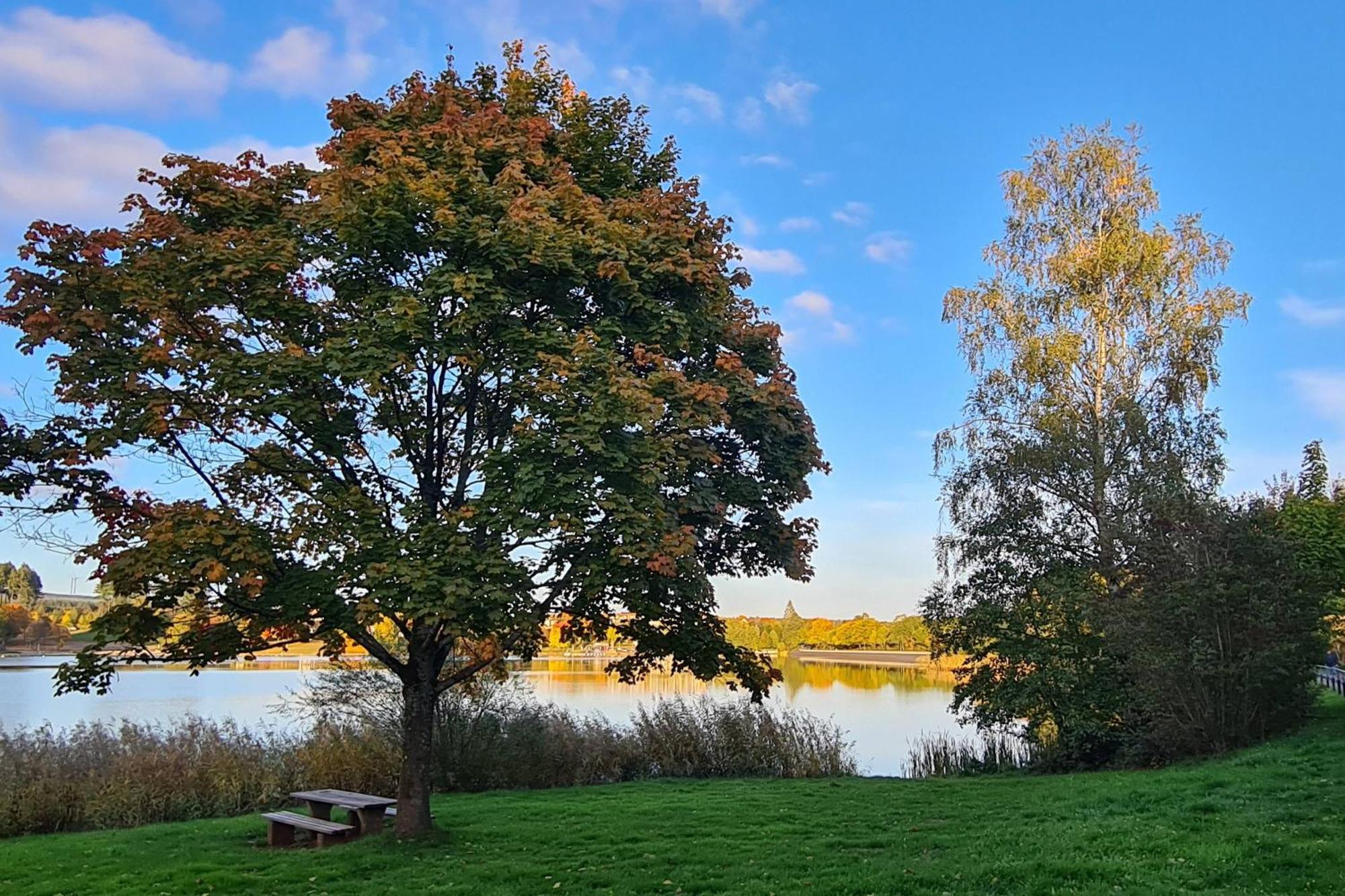 Draussen Am See ลอสไฮม์ ภายนอก รูปภาพ